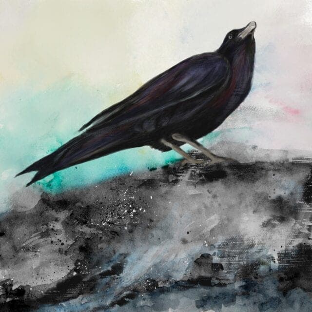Crow Illustration, Mixed media